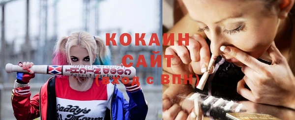 винт Гусиноозёрск