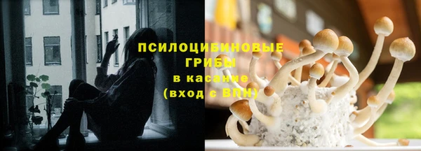 каннабис Гусев