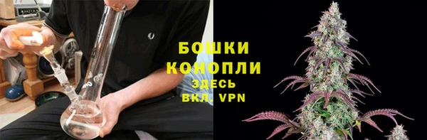 каннабис Гусев