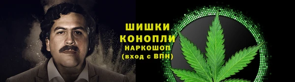 винт Гусиноозёрск