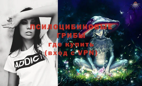 каннабис Гусев
