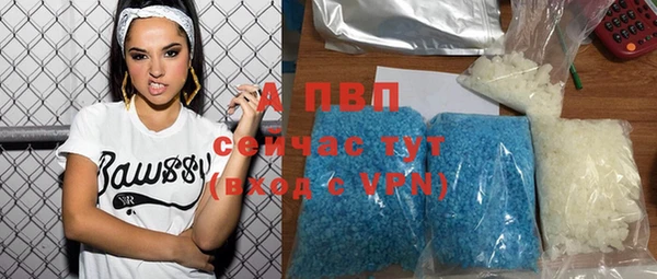 винт Гусиноозёрск