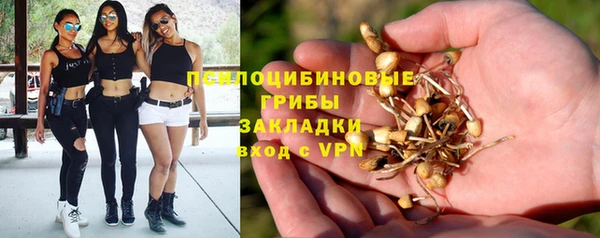 каннабис Гусев