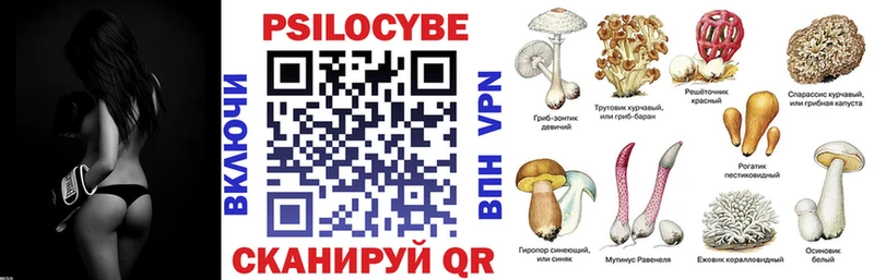 Галлюциногенные грибы GOLDEN TEACHER  что такое   Правдинск 
